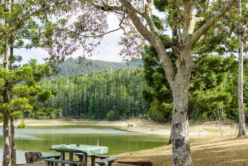 Picnic table at Tinaroo