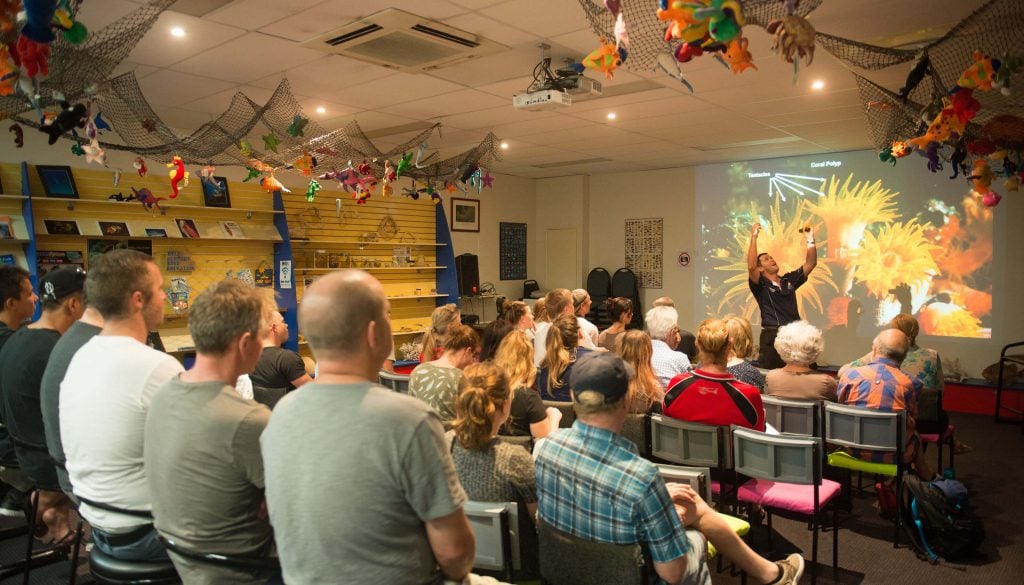 reef teach cairns