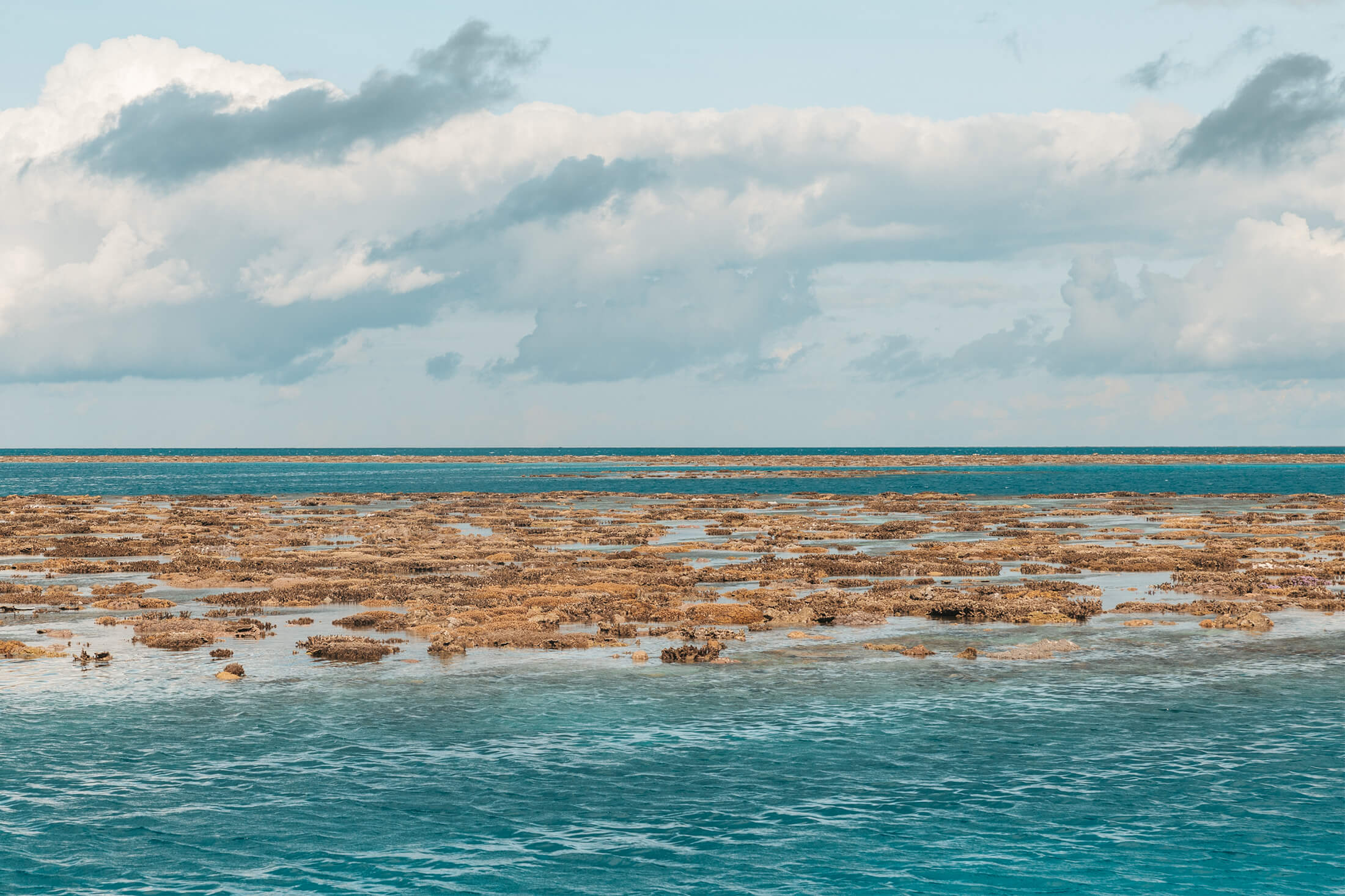 Great Barrier Reef exposed at low tide