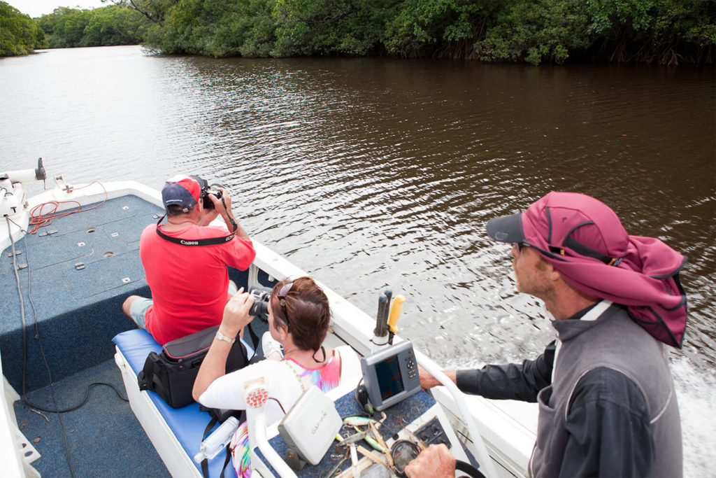 croc tours cooktown