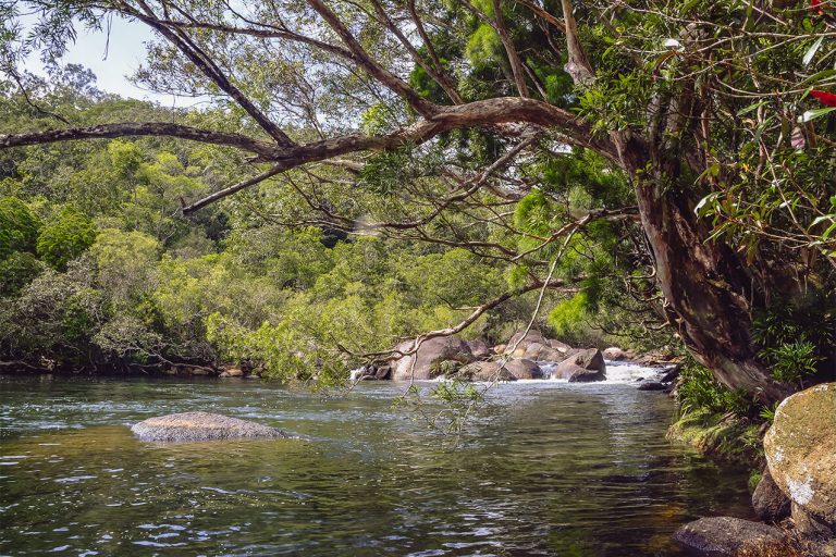 The CREB Track | Tropical North Queensland