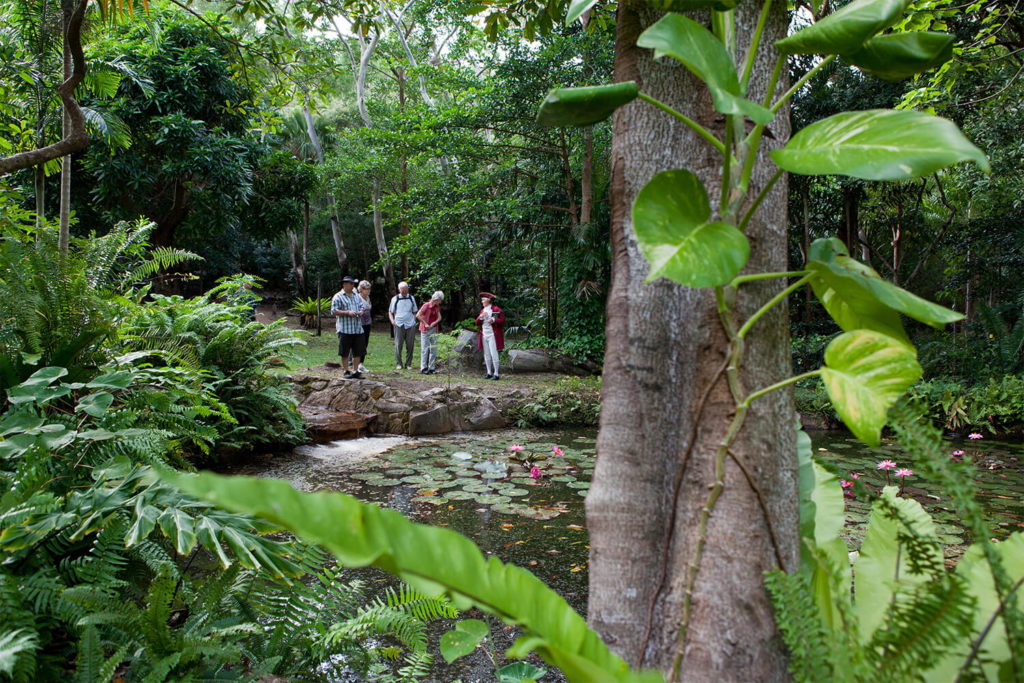 croc tours cooktown