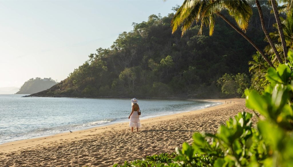 cairns great barrier reef day tours