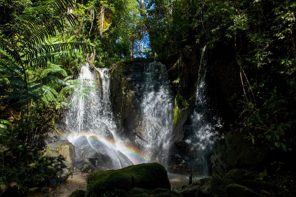 Vision Falls Lake Eacham