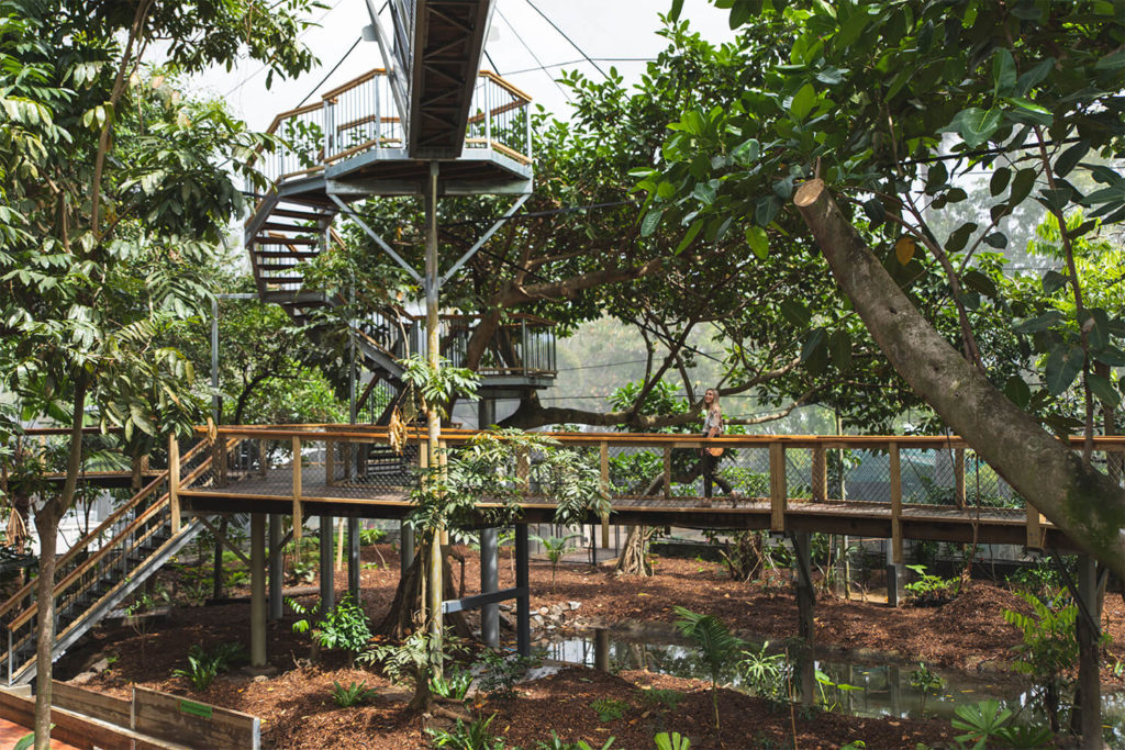 New rainforest habitat at wildlife habitat port douglas