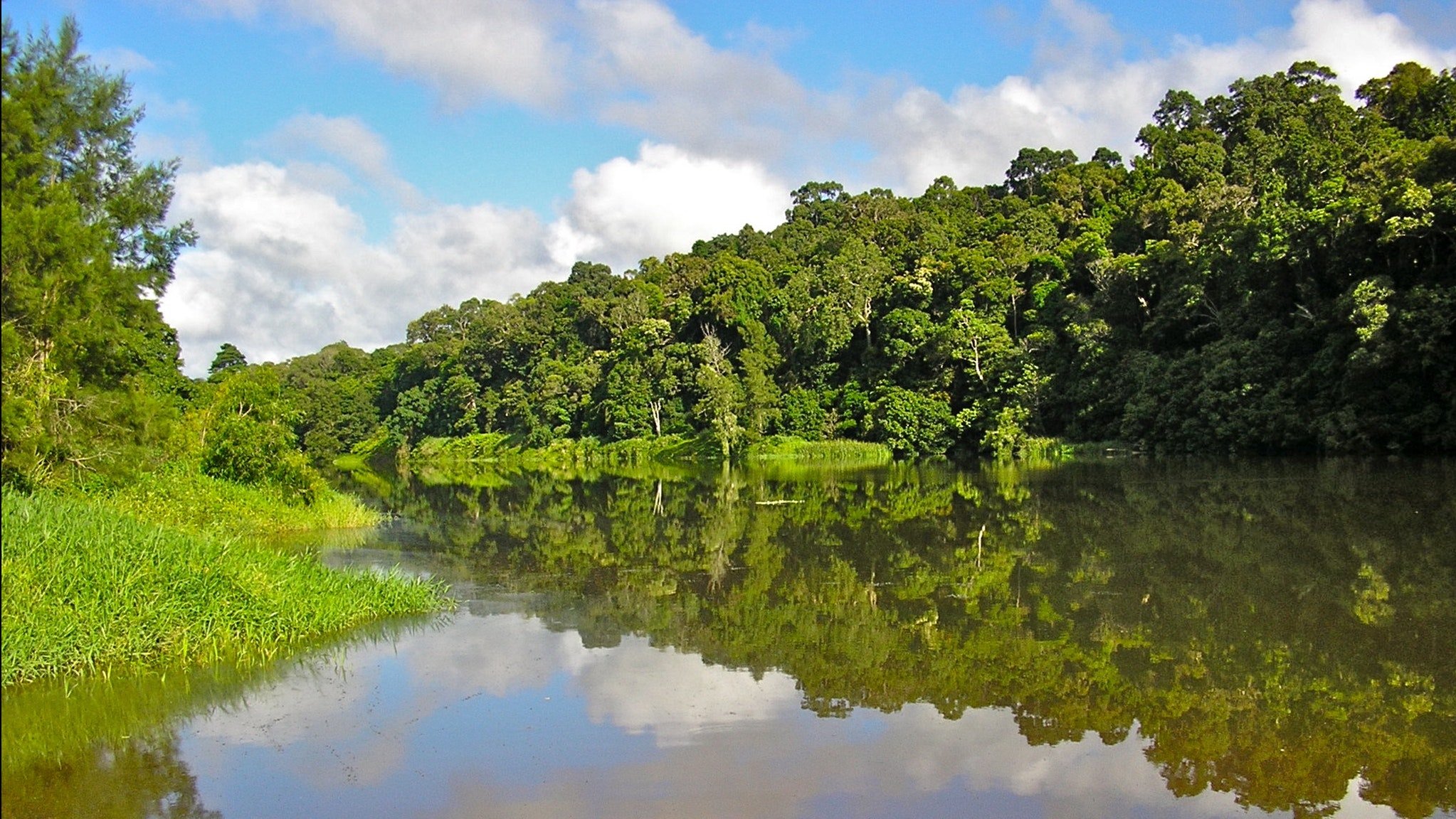 Kuranda Riverboat | Tropical North QLD