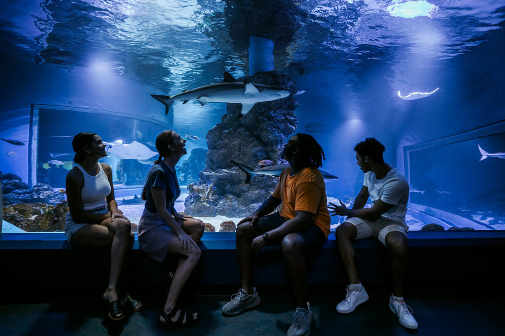 Cairns Aquarium