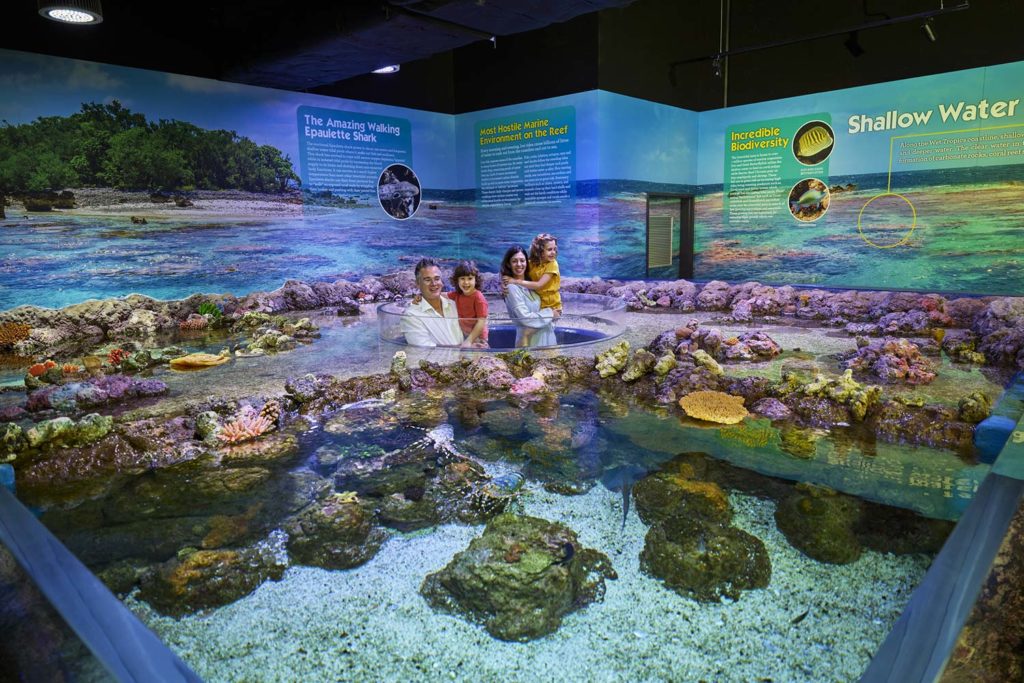 Shallow reef display at Cairns Aquarium