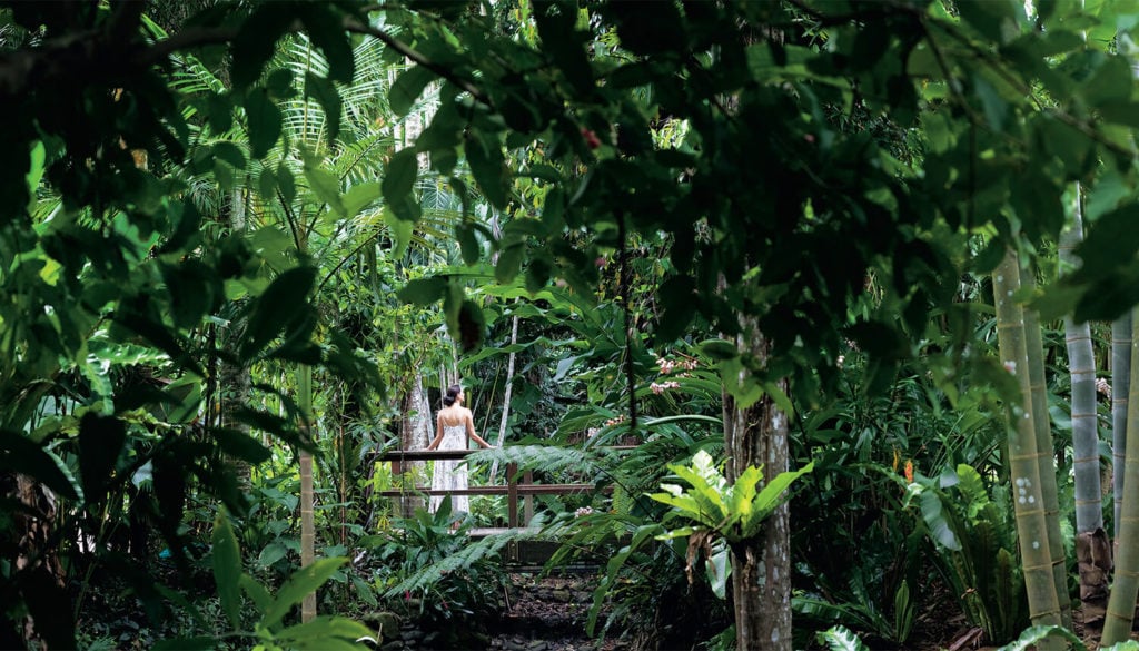 cairns botanical gardens