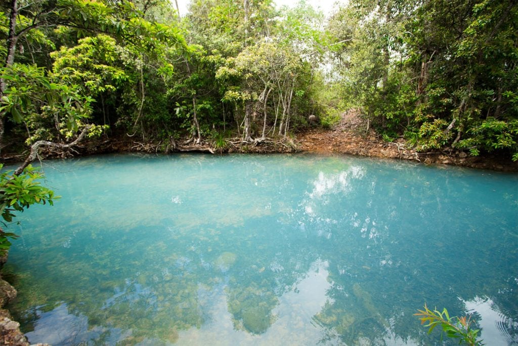 North Queenslands Best Swimming Holes | Cairns & Great Barrier Reef