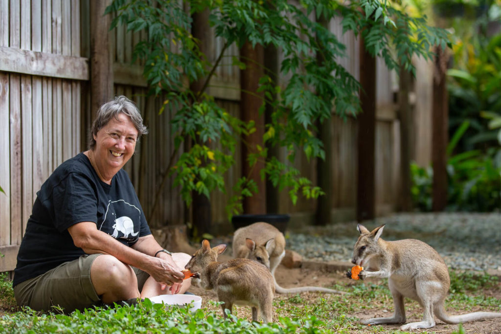 carer and wallaby joeys