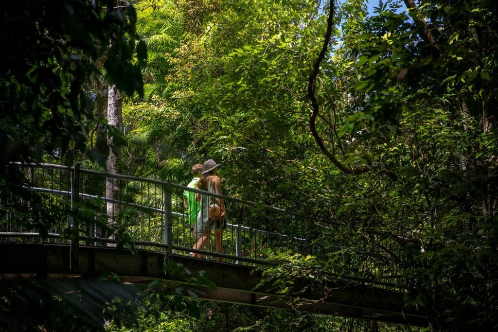 daintree discovery centre