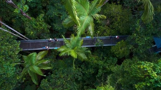 daintree discovery centre