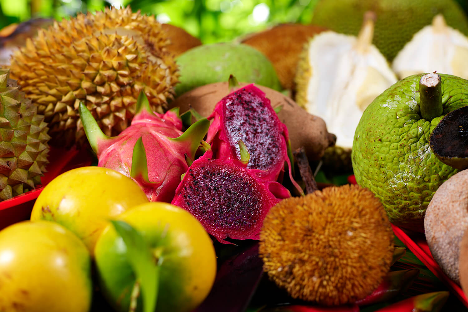 Daintree Food Trail | Cairns & Great Barrier Reef