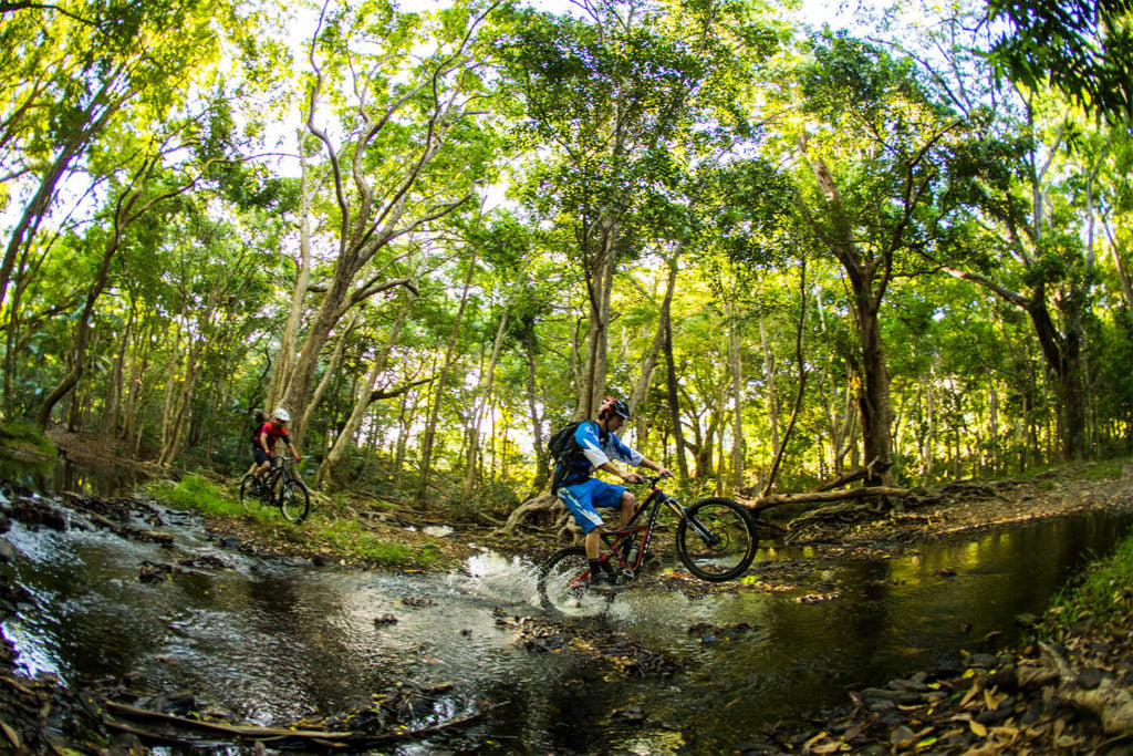 Davies creek orders mountain bike park