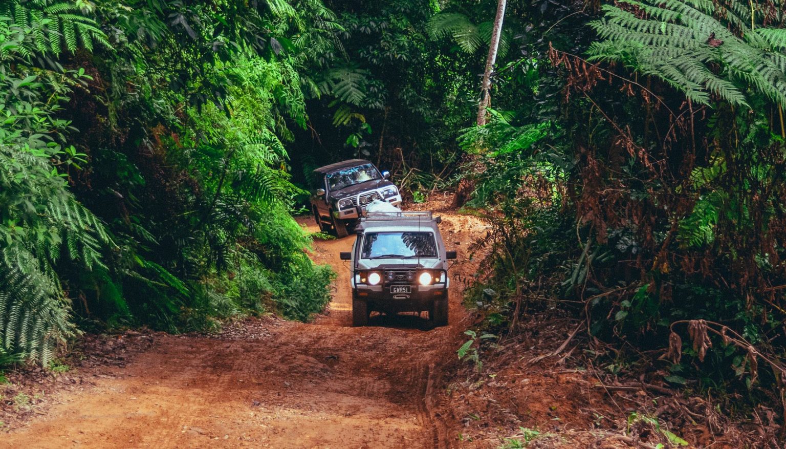 Daintree & Cape Tribulation Cairns & Great Barrier Reef