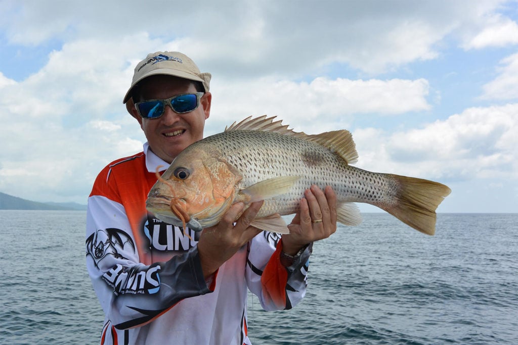 kings point golden snapper