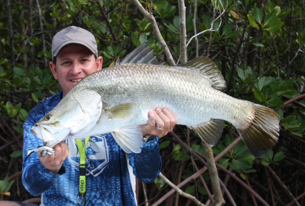 barramundi cairns inlet