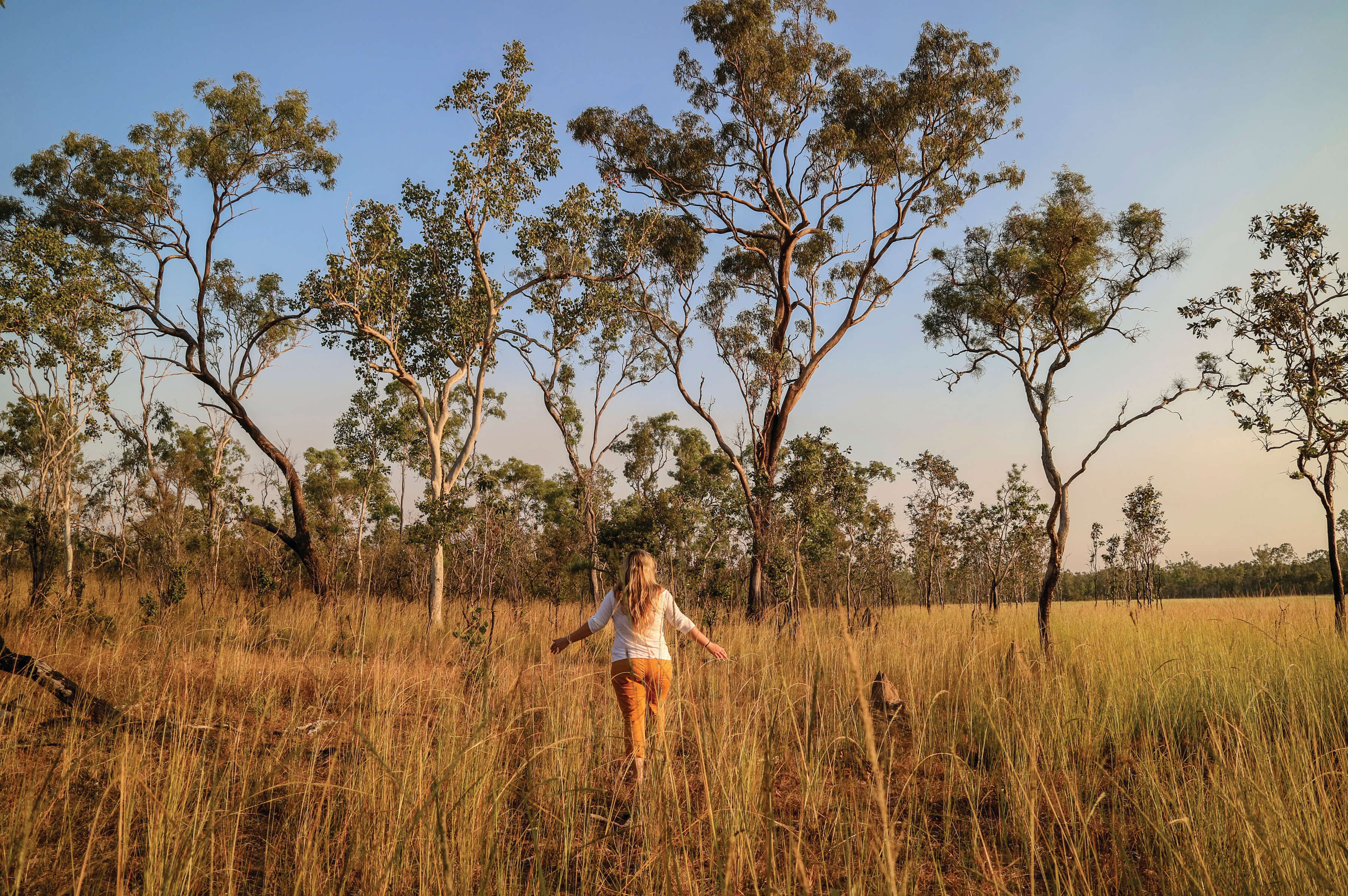 Wandering through the grass in the outback
