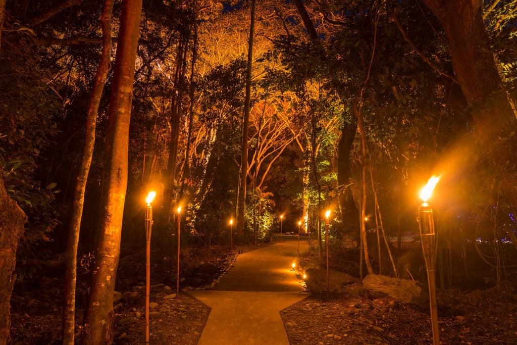 Flames of the Forest pathway