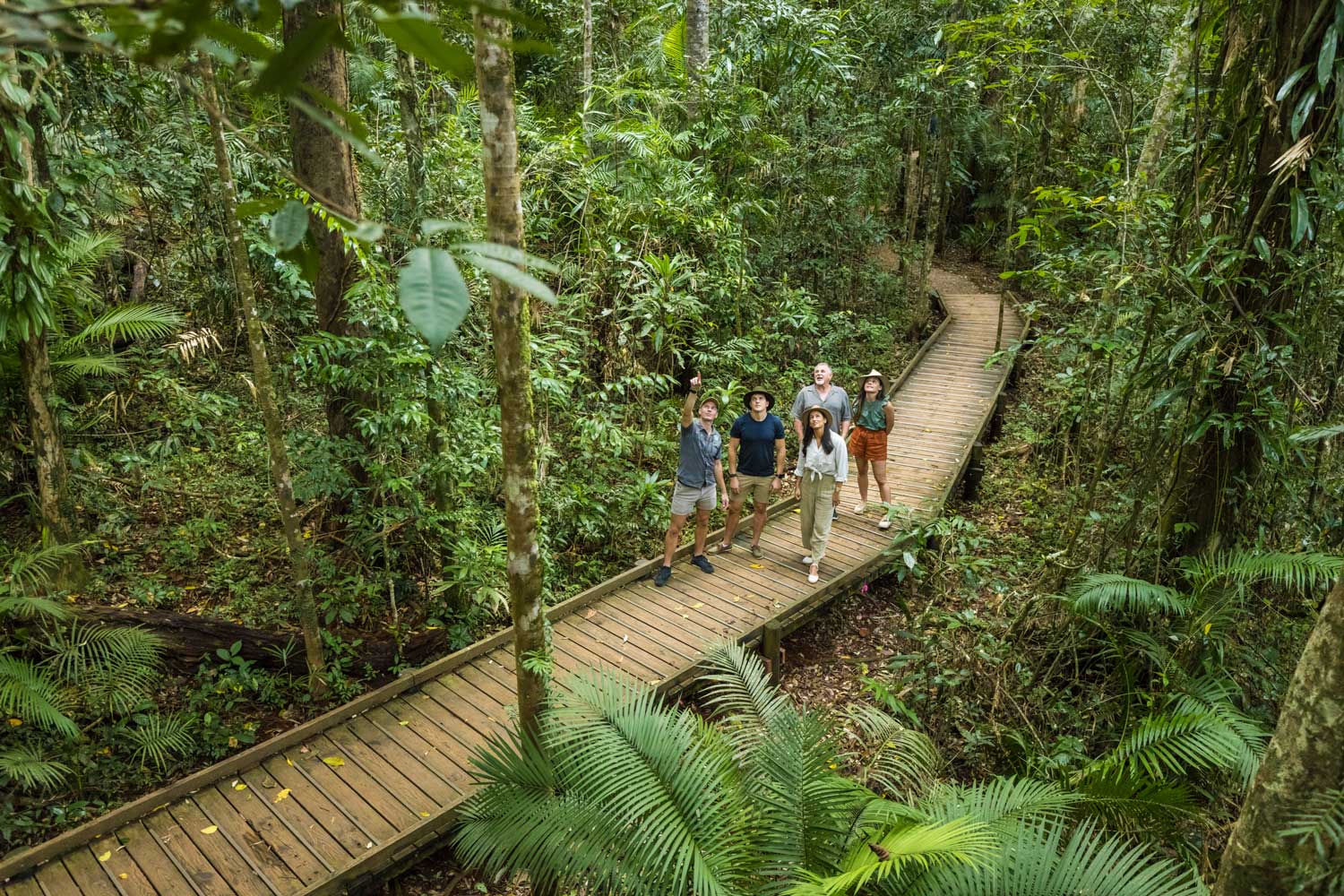fnq nature tours