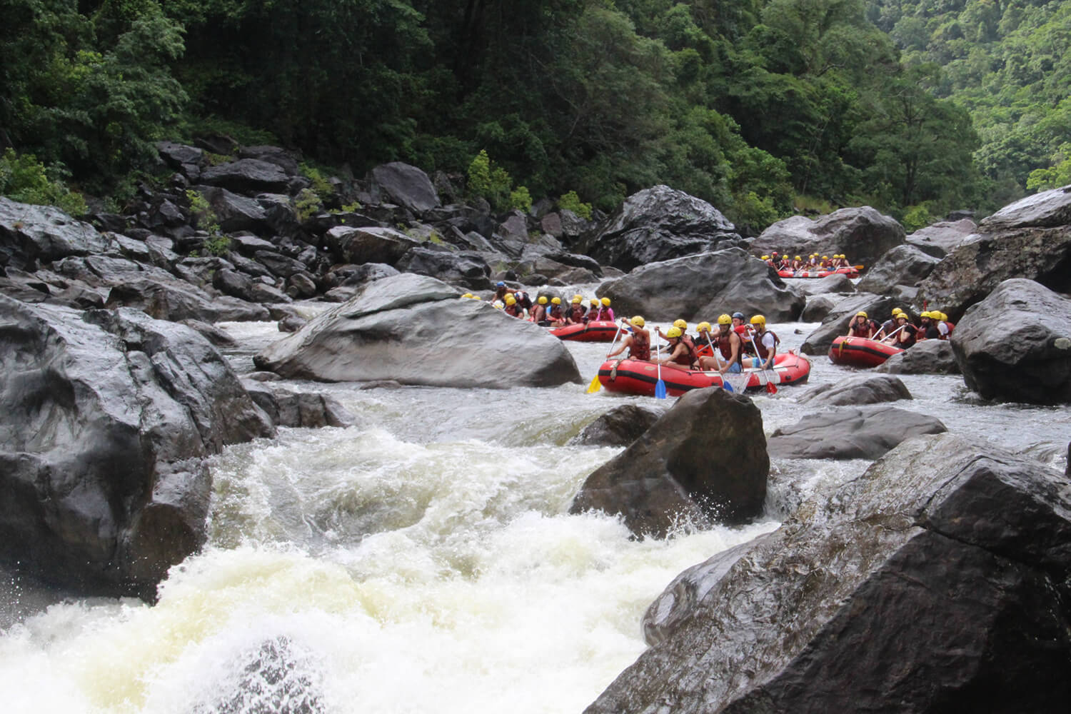 Cairns & Great Barrier Reef | Cairns & Great Barrier Reef Deals