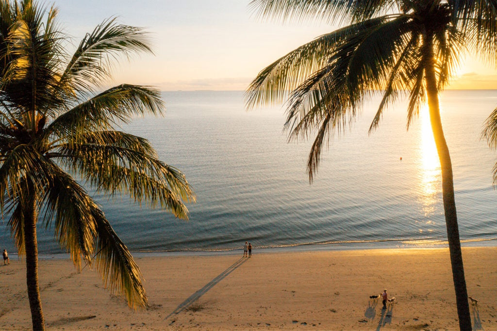 Four Mile Beach aerial at sunrise looking through palm trees