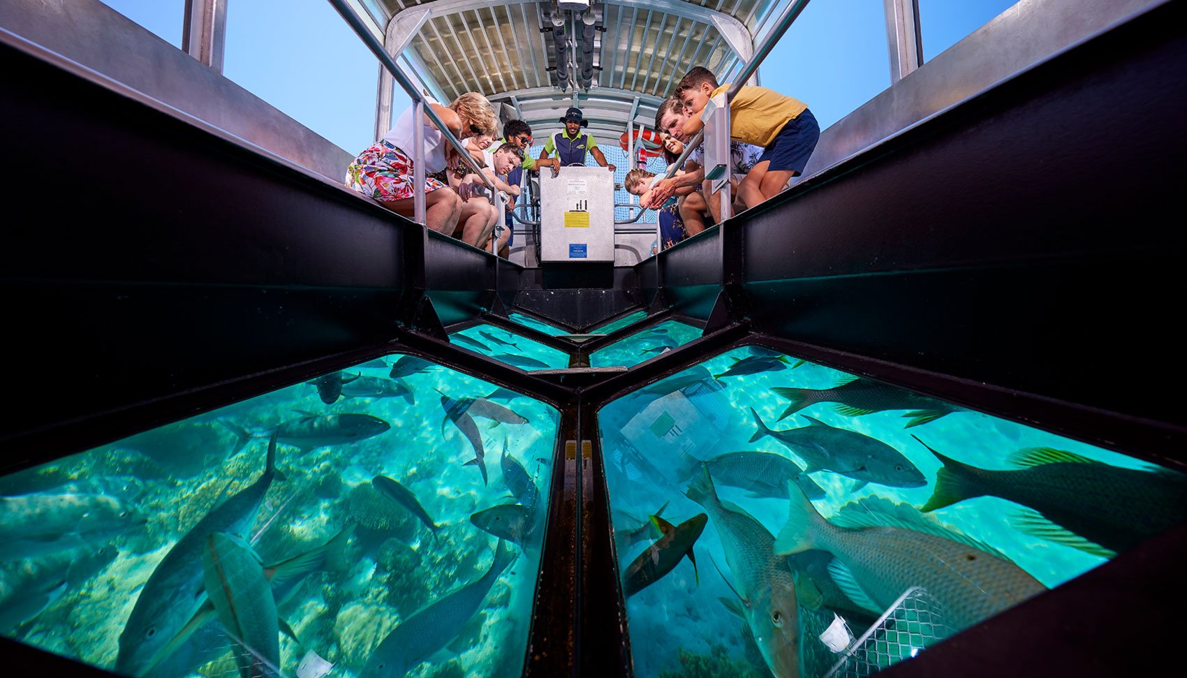 glass bottom boat tour great barrier reef