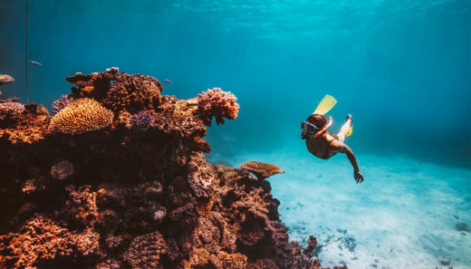 great barrier reef cta bannerz