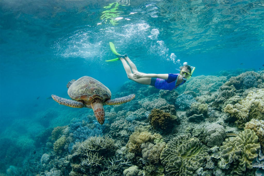 Snorkeling Coral Reef