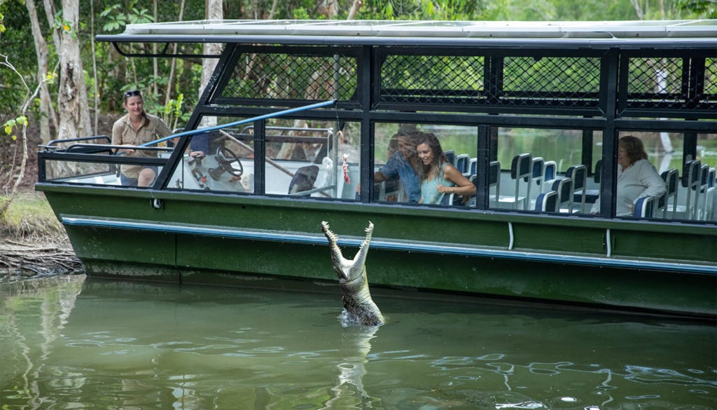 crocodile tours in cairns