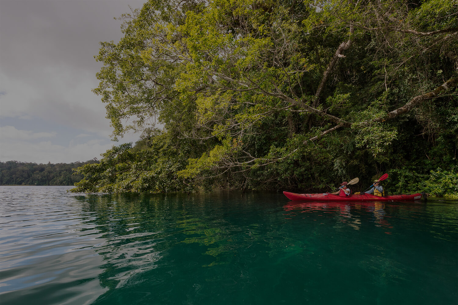 Lake Barrine