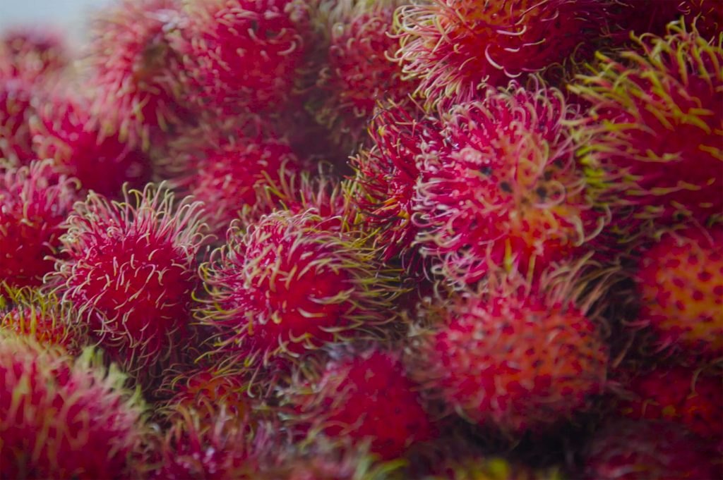 Rambutans at the markets