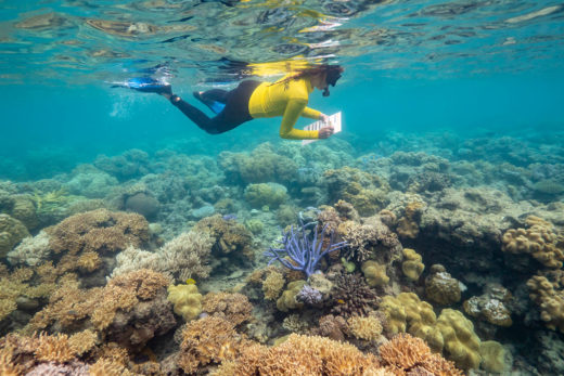 Ways You Can Help Protect The Reef | Cairns & Great Barrier Reef