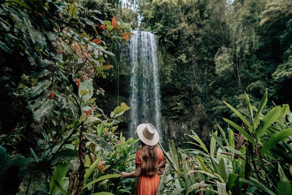 millaa millaa falls atherton tablelands