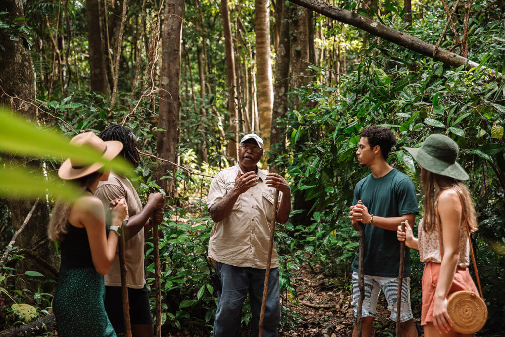 mossman gorge dreamtime walk