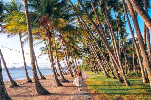 Palm Cove