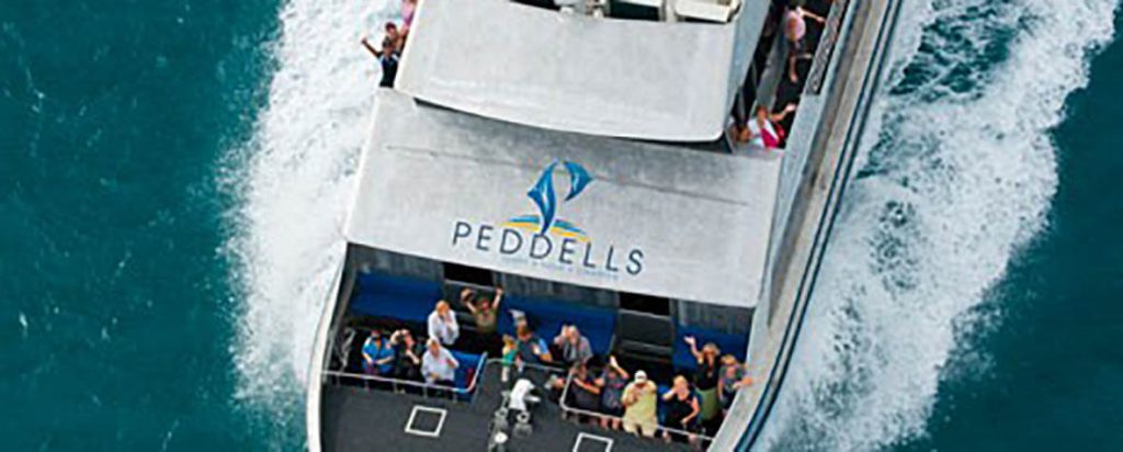Peddels ferry service on water