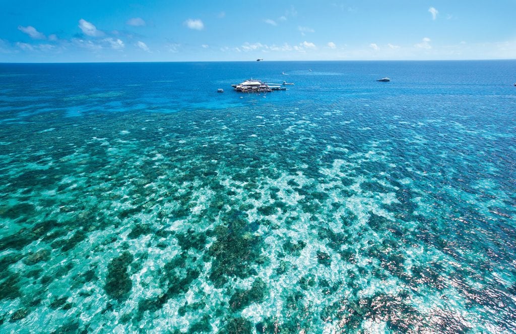 quicksilver boat tours great barrier reef