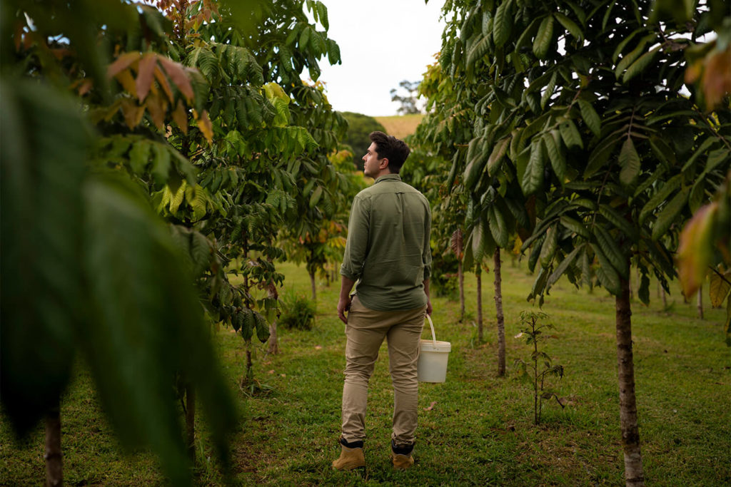 Rainforest Bounty Farm