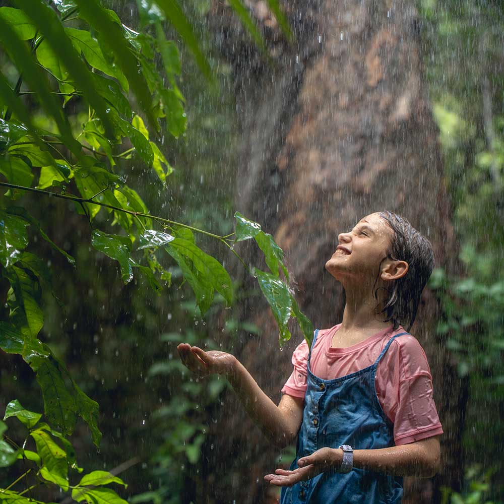 rainy day activities in cairns