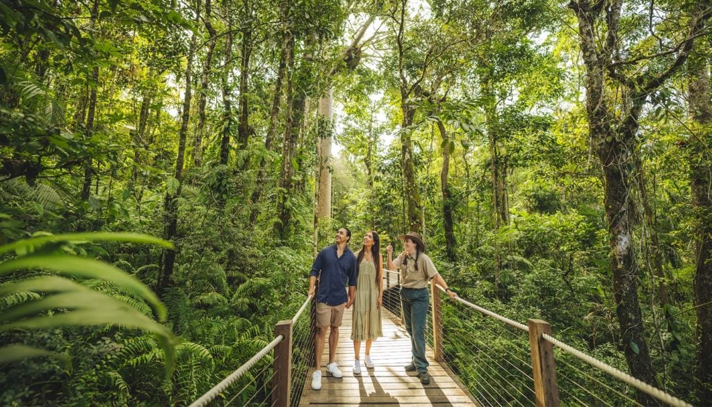 Queensland Tropical Rainforests