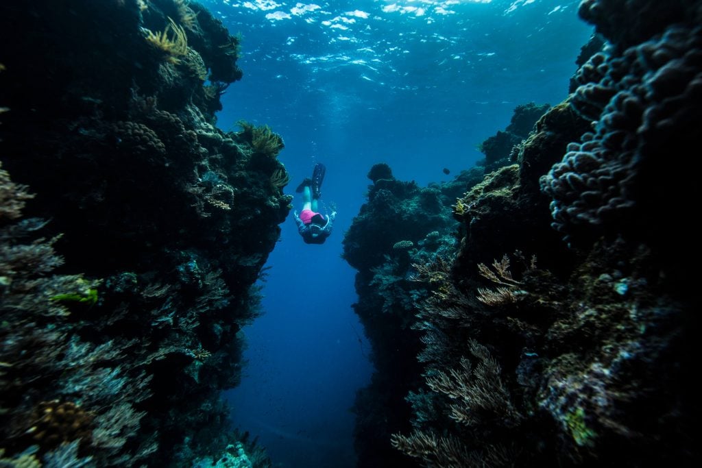 Snorkelling between coral bombies Fitzroy Island