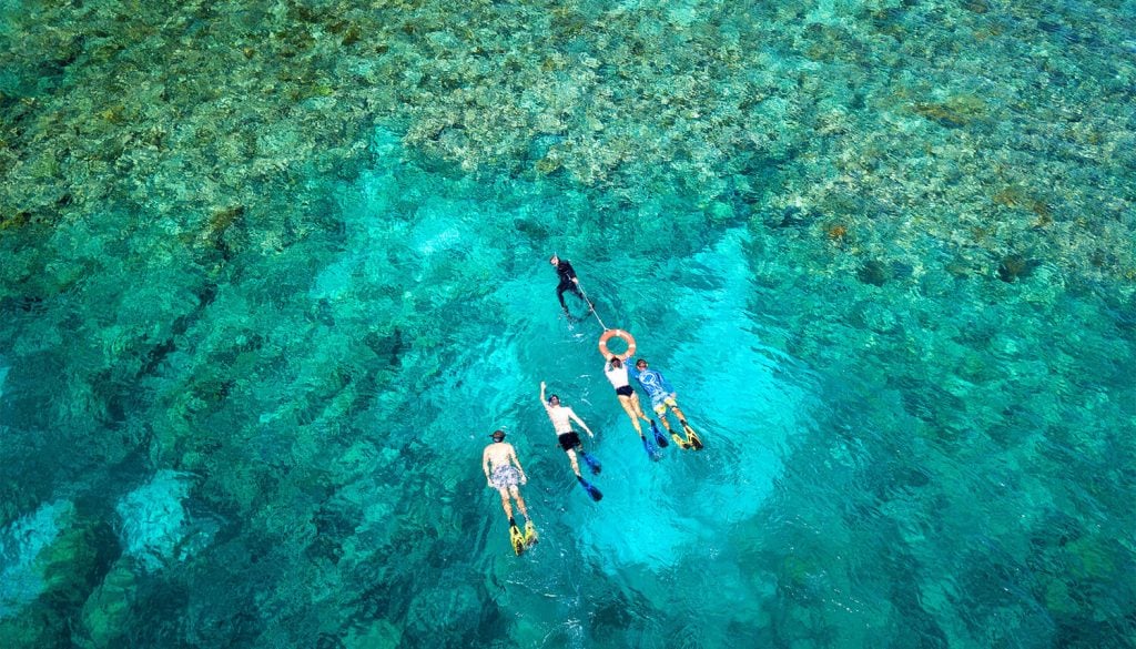 Snorkelling the Great Barrier Reef with Tusa