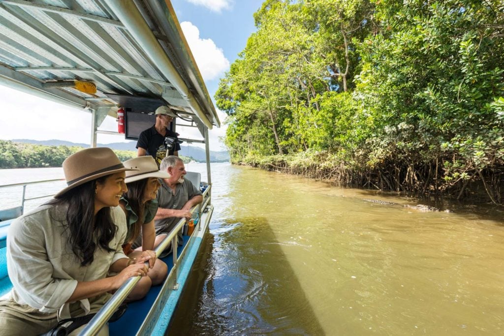 solar whisper cruises daintree rainforest