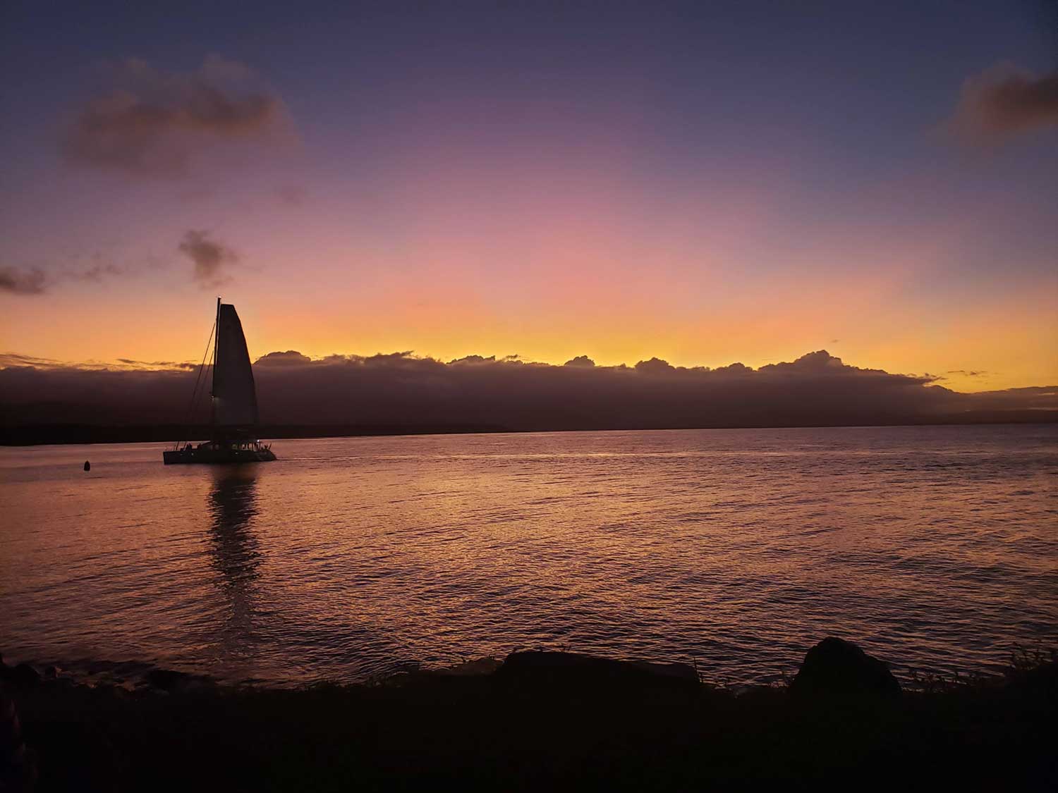 What It's Like To Have A Working Holiday In Cairns 