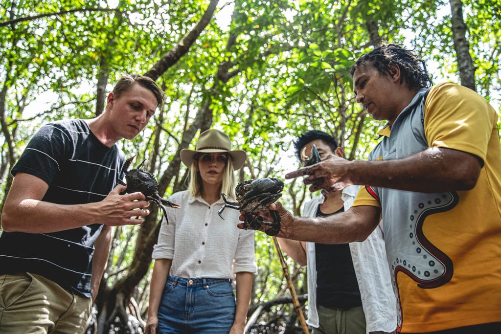 cairns great barrier reef day tours